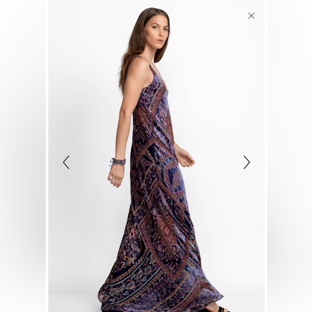 Johnny Was NWT OMO Burnout Peony Elegant Multicolor Maxi Dress - Picture 2 of 7